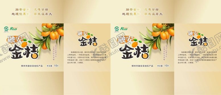 编号：94411802152321597102【酷图网】源文件下载-融安金桔