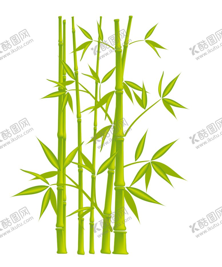 编号：57924401281409277137【酷图网】源文件下载-竹子素材