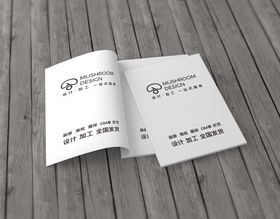 画册样机办公自然立体