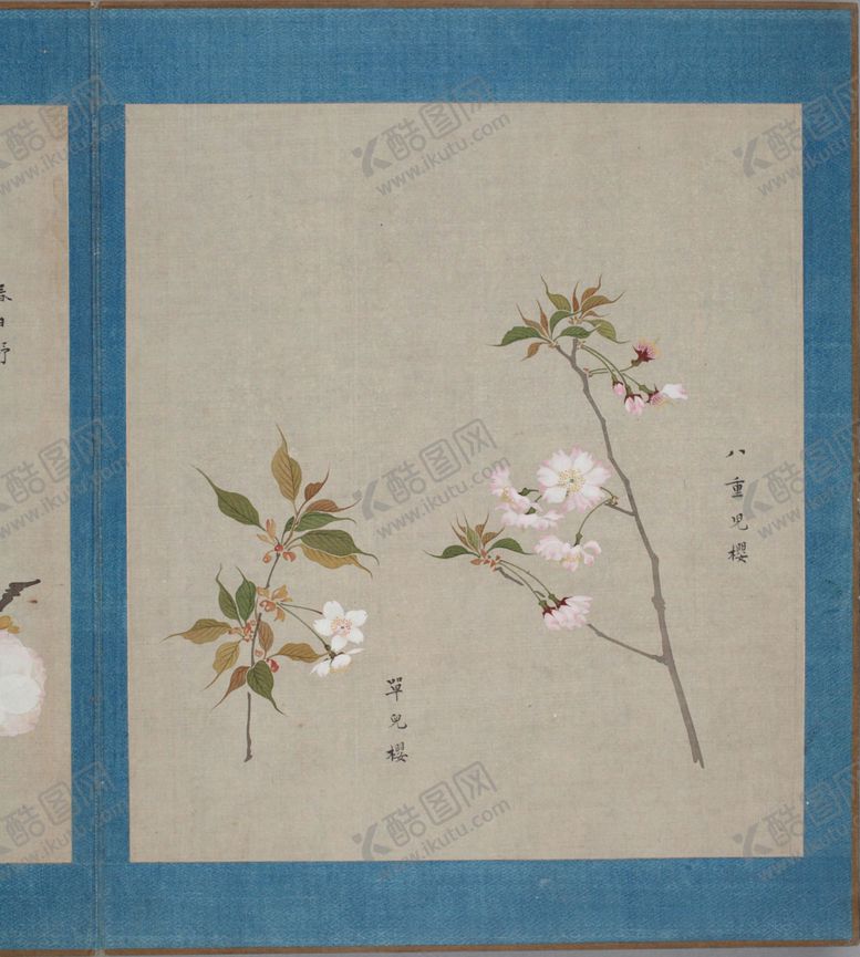 编号：60368606160708385412【酷图网】源文件下载-樱花