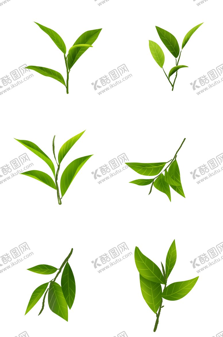 编号：84380109201322521839【酷图网】源文件下载-叶子素材