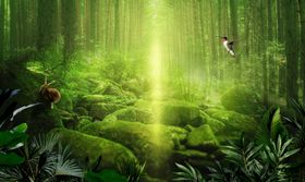 森林创意海报图片动物丛
