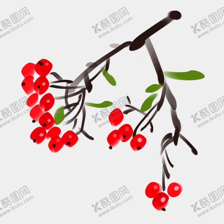 编号：61440612192232446558【酷图网】源文件下载-枸杞