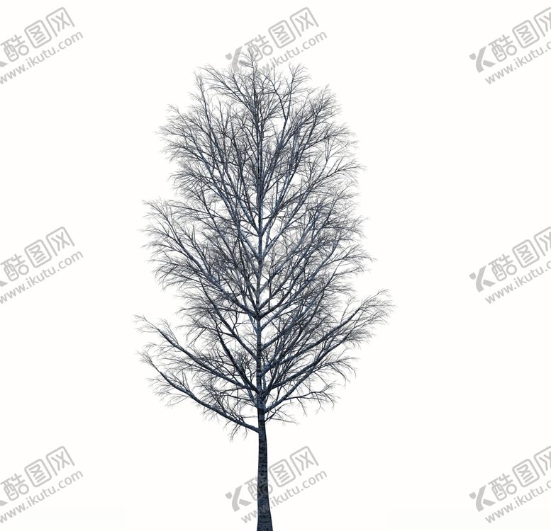 编号：49545609111419396914【酷图网】源文件下载-树林