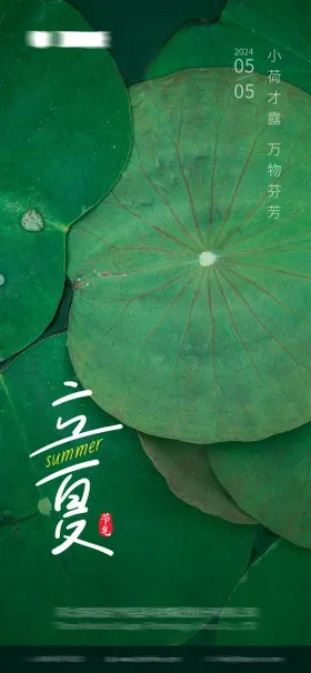 立夏节气海报天小清新荷花二十四