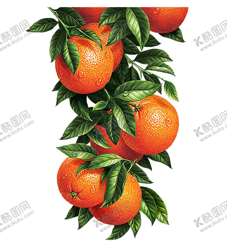 编号：91236609240007147823【酷图网】源文件下载-石榴