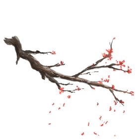 梅花素材