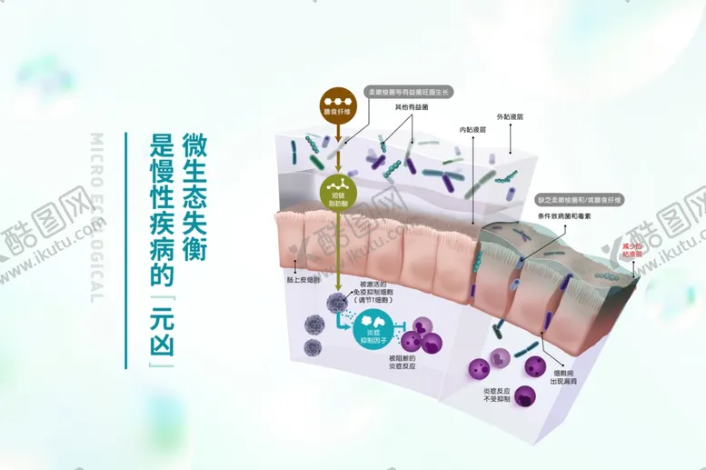 编号：57304202150758044575【酷图网】源文件下载-微生态失衡海报