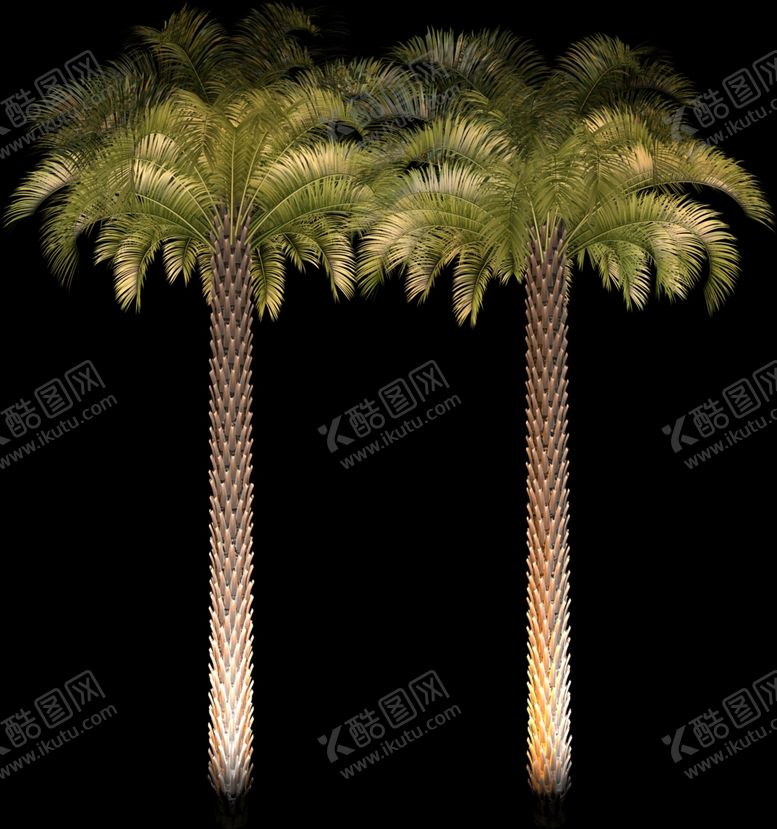 编号：51495609212035528118【酷图网】源文件下载-夜景树