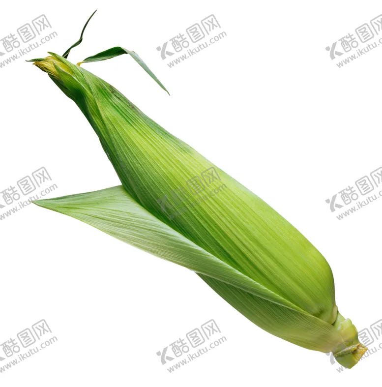 编号：76342102131530589788【酷图网】源文件下载-玉米图片