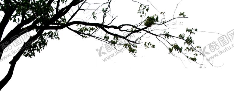编号：22337810190948488693【酷图网】源文件下载-干前景树