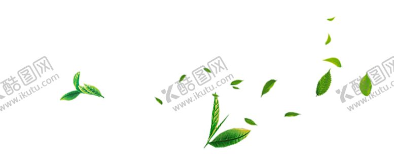 编号：30597704231124445600【酷图网】源文件下载-树叶