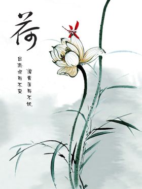 荷花玄关