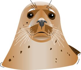 海豹