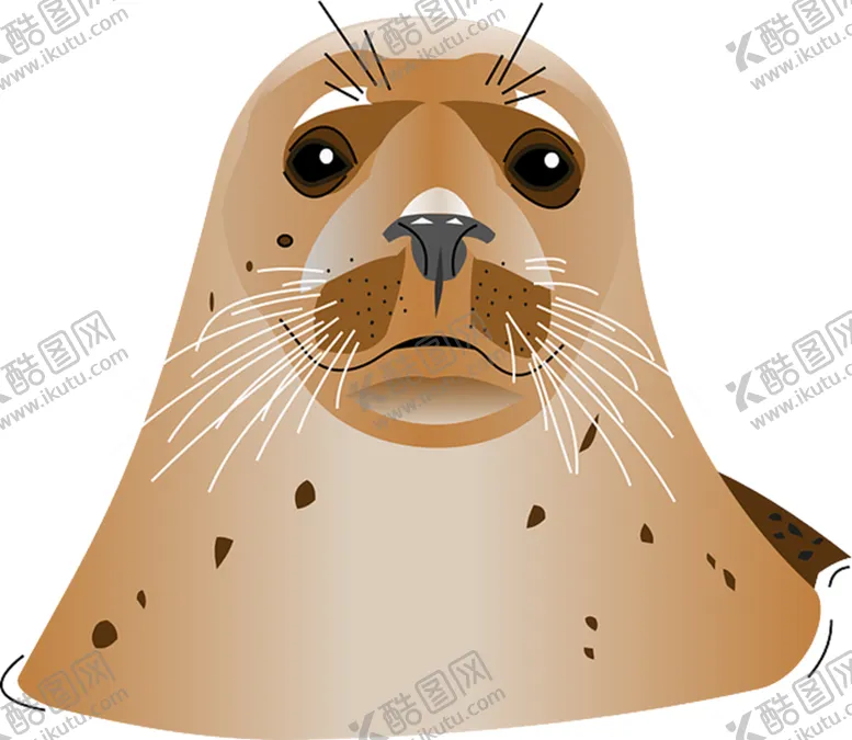 编号：68423909231121575846【酷图网】源文件下载-海豹