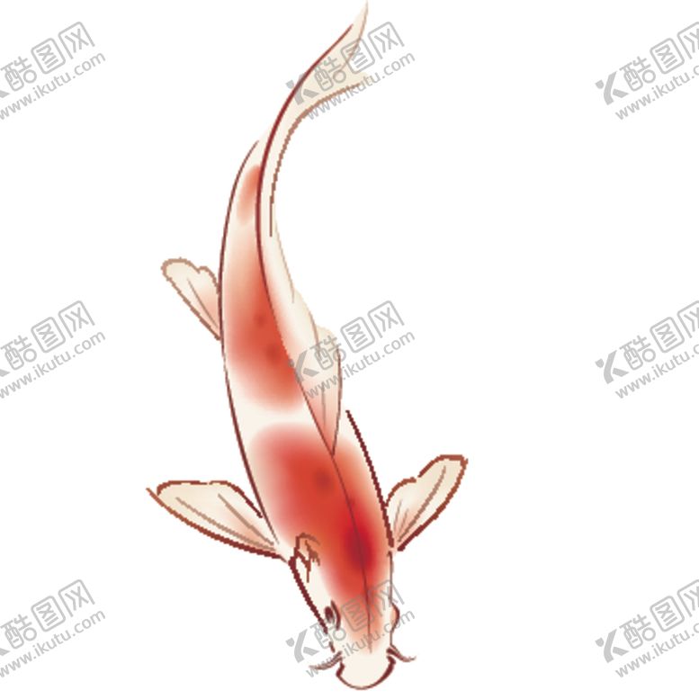 编号：35229010061112329434【酷图网】源文件下载-鲤鱼插画图案