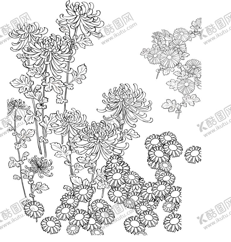编号：80984606301518189480【酷图网】源文件下载-国画菊花