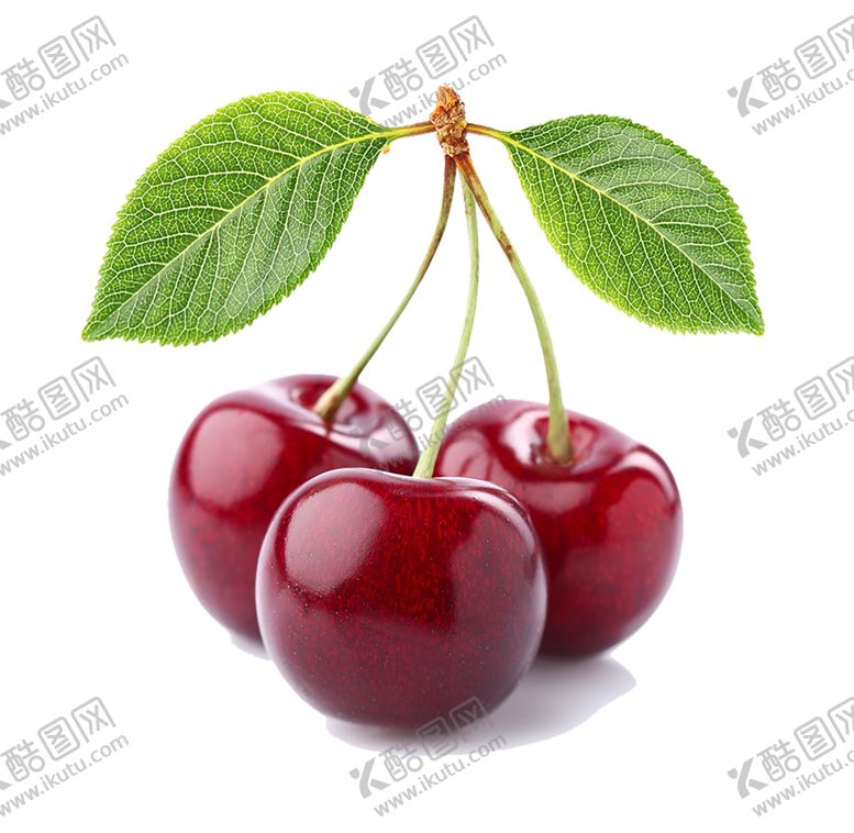 编号：93537209101242336151【酷图网】源文件下载-水果