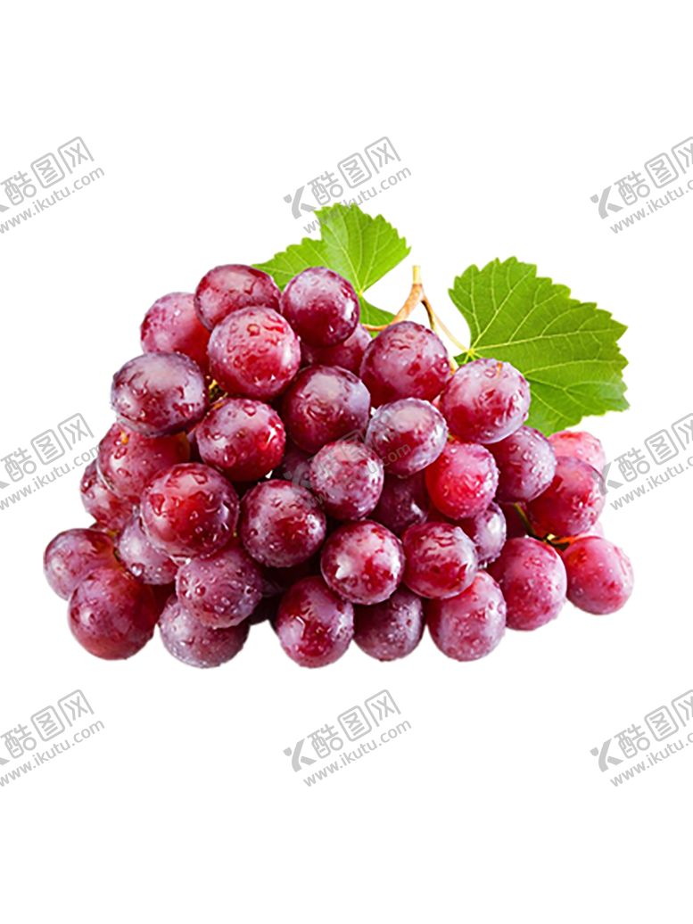 编号：80209210161300469007【酷图网】源文件下载-水果