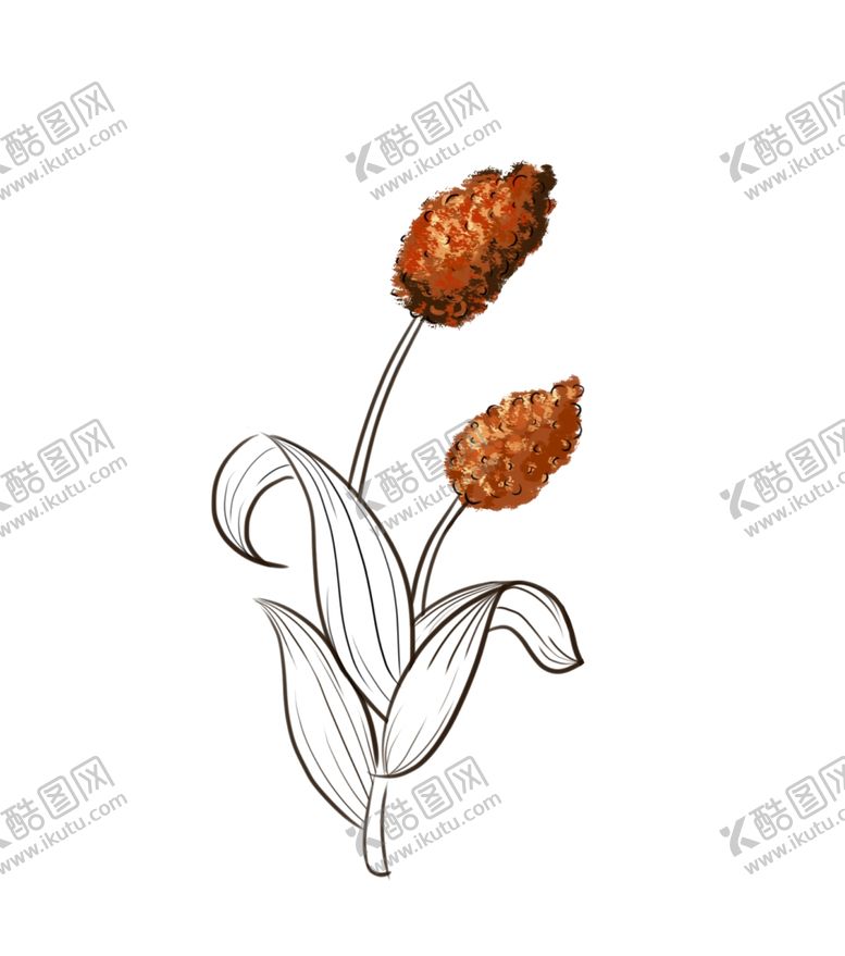 编号：20702710031020399614【酷图网】源文件下载-原创手绘高粱