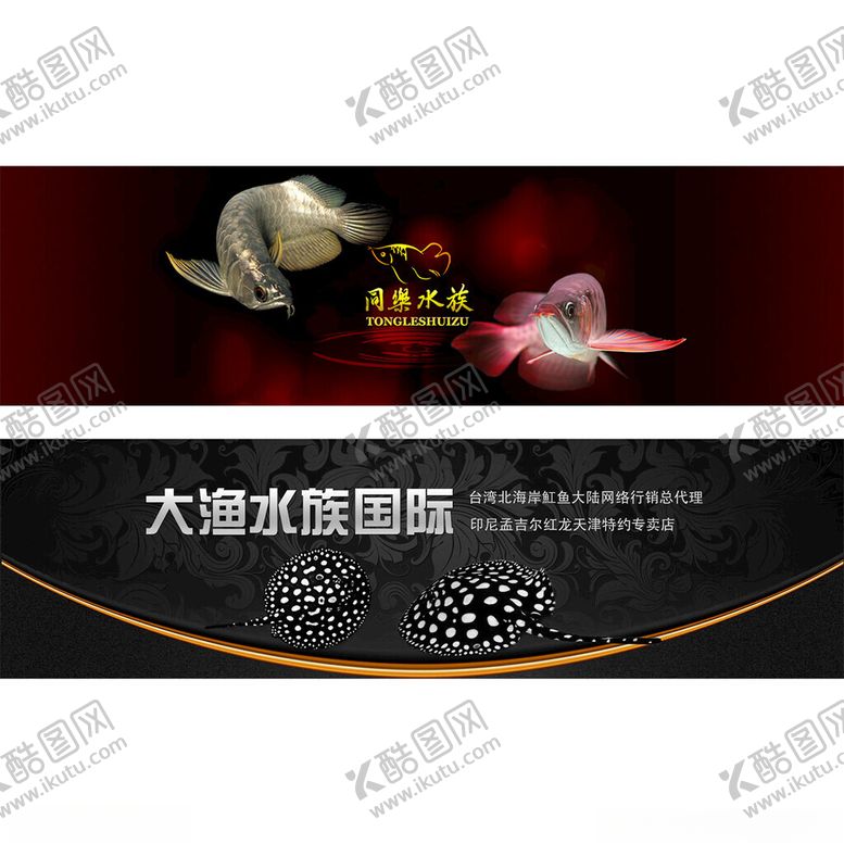 编号：91310602260238091458【酷图网】源文件下载-水族观赏鱼店招banner