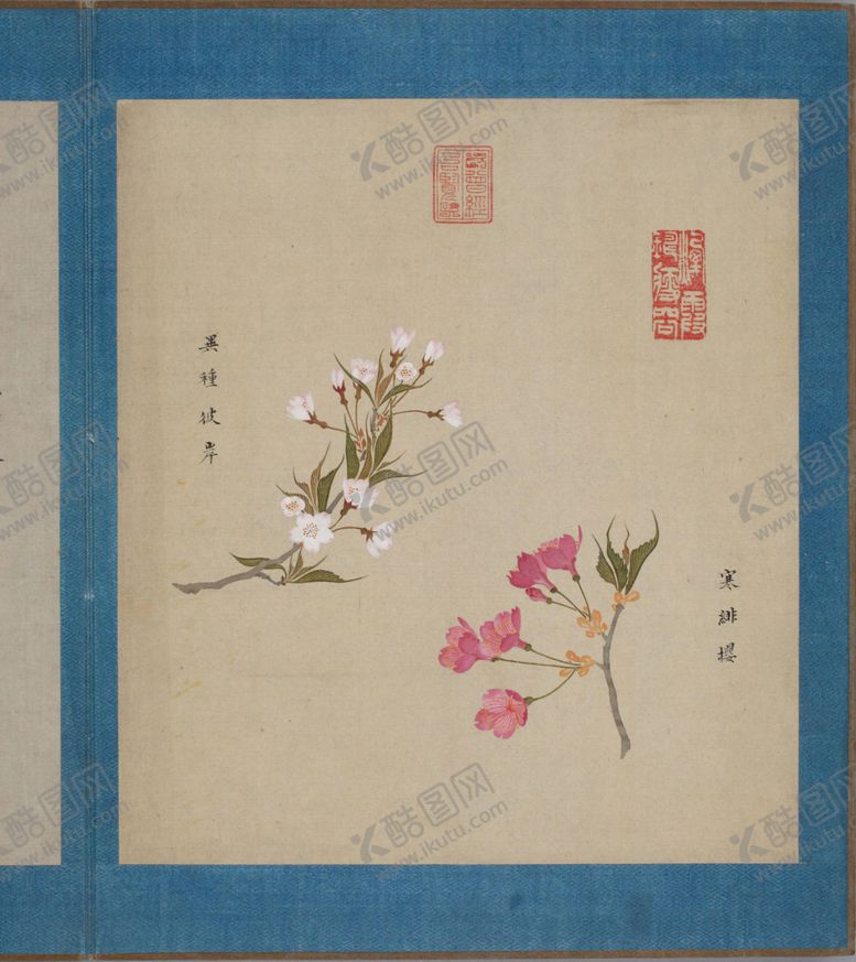 编号：68957804261941433210【酷图网】源文件下载-樱花