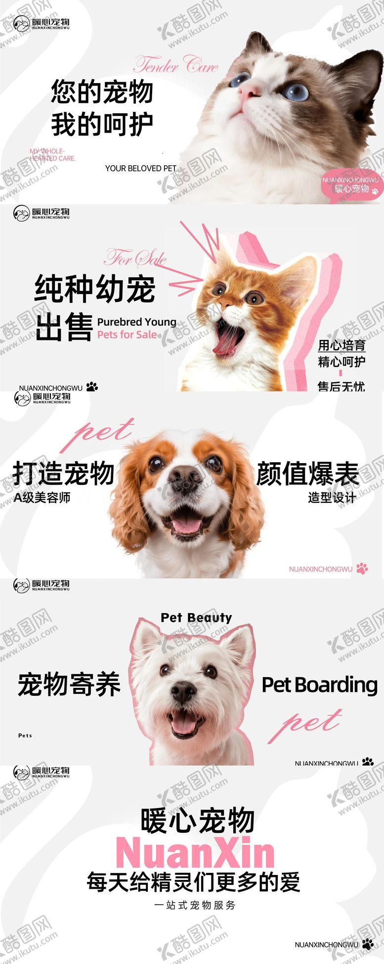 编号：17566303021458515654【酷图网】源文件下载-美团宠物洗护banne