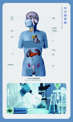 医学院挂画海报