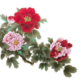 牡丹花