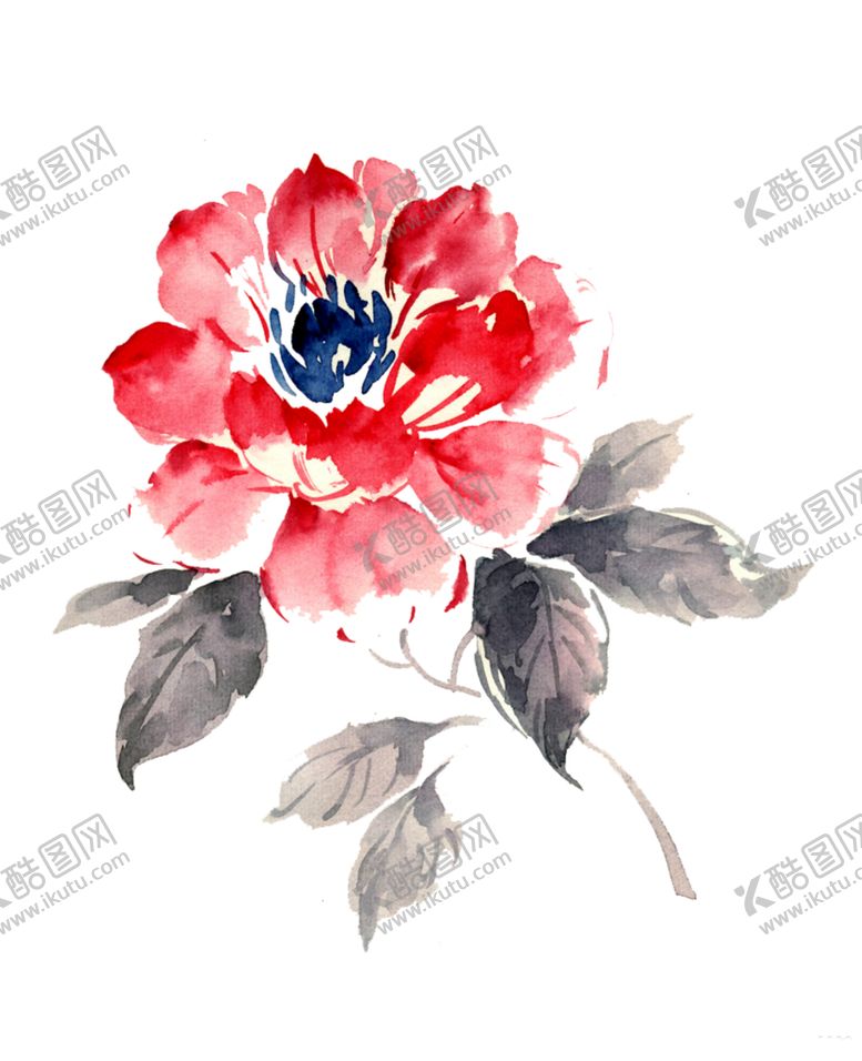 编号：97923110281313558223【酷图网】源文件下载-牡丹花