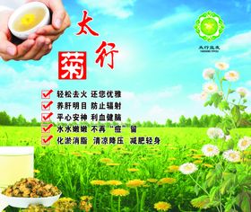 太行菊广告