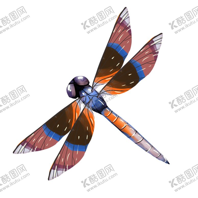 编号：82895005010151461669【酷图网】源文件下载-蜻蜓