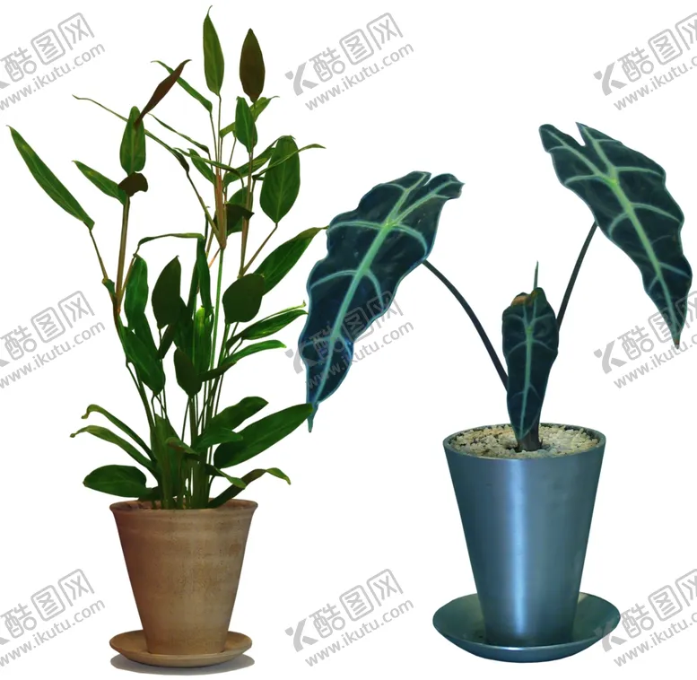 编号：64020406241223385781【酷图网】源文件下载-免扣植物树木素材图片