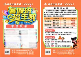 暑假培训单页宣传单彩页DM单