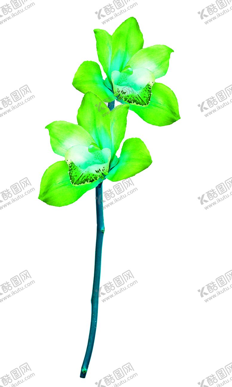 编号：56579609260220028251【酷图网】源文件下载-浪漫素材