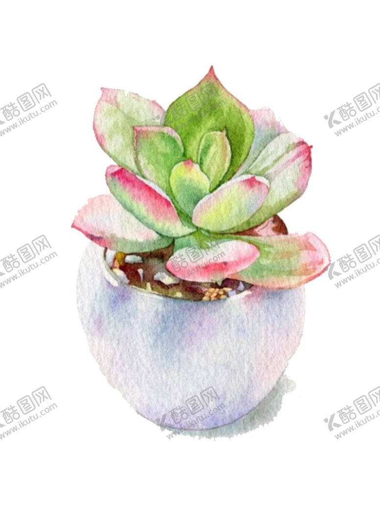 编号：32907712041335034160【酷图网】源文件下载-png格式植物花卉手绘素材
