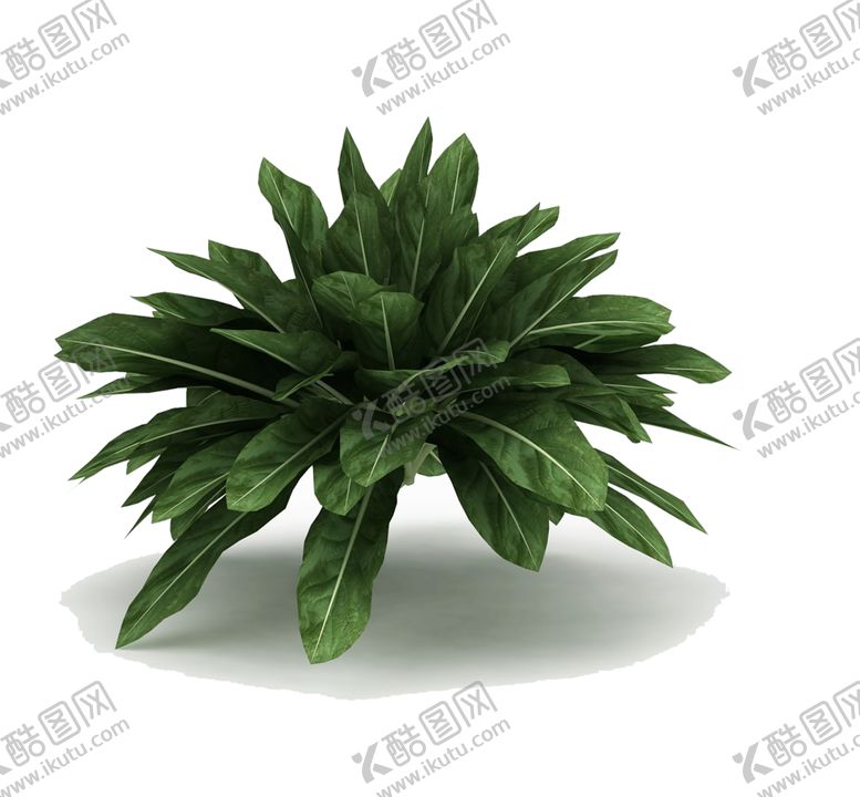 编号：46255110041915589479【酷图网】源文件下载-绿色植物