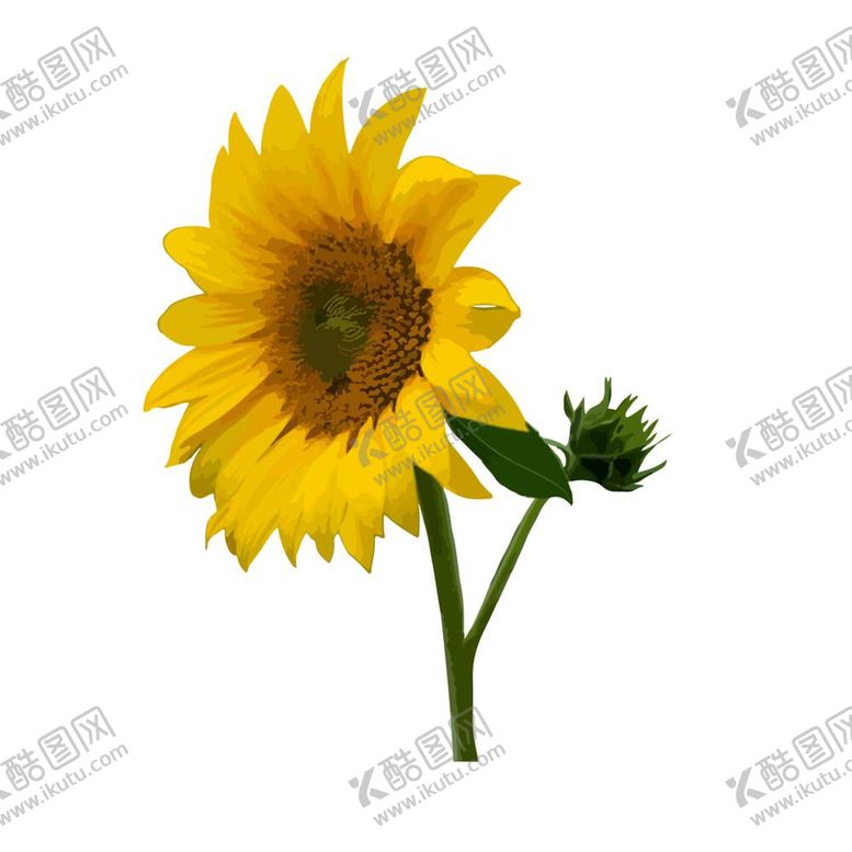 编号：65391512051704301995【酷图网】源文件下载-太阳花向日葵葵花ai矢量图案