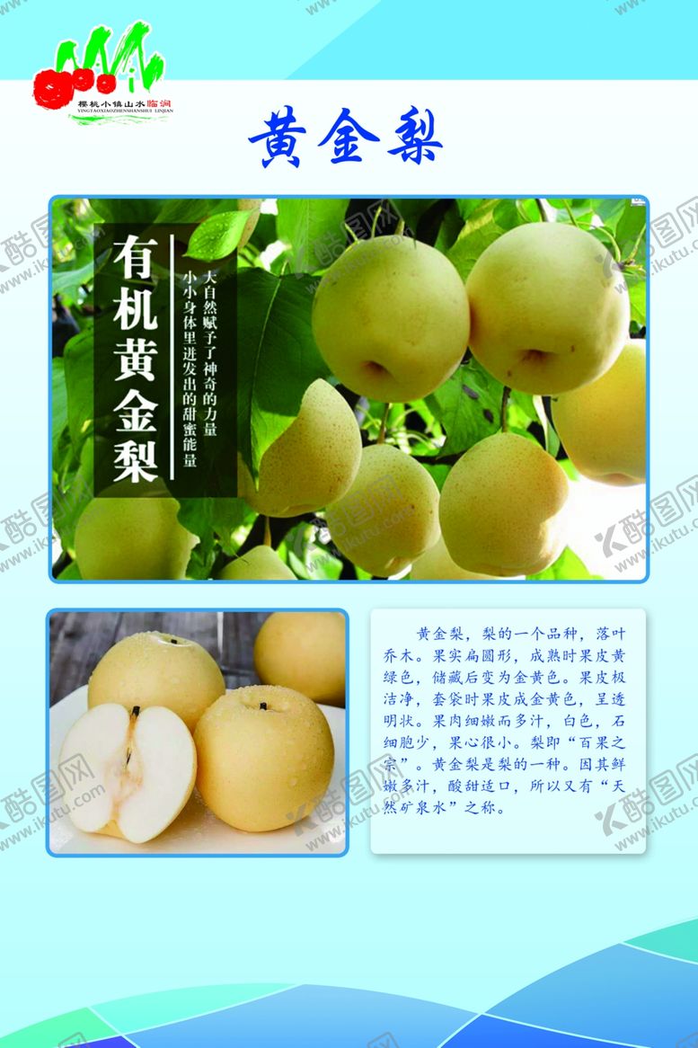 编号：34860102210507579671【酷图网】源文件下载-黄金梨