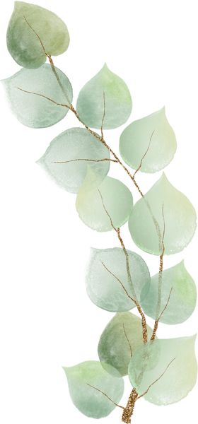 北欧小清新水彩植物图案