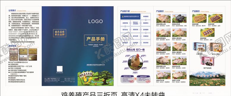 编号：52054504241545381080【酷图网】源文件下载-鸡养殖三折页