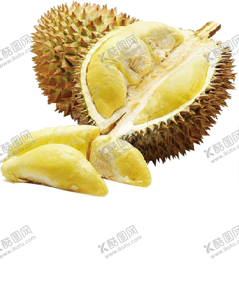 编号：60466303190603579323【酷图网】源文件下载-榴莲