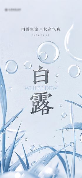 白露节气海报