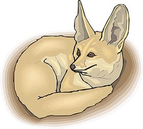 狐狸免抠动物PNG素材动物