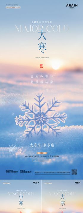 地产大寒雪地海报