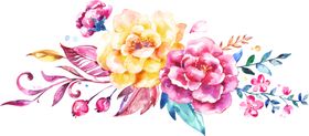 烫金流金水彩植物花卉花朵
