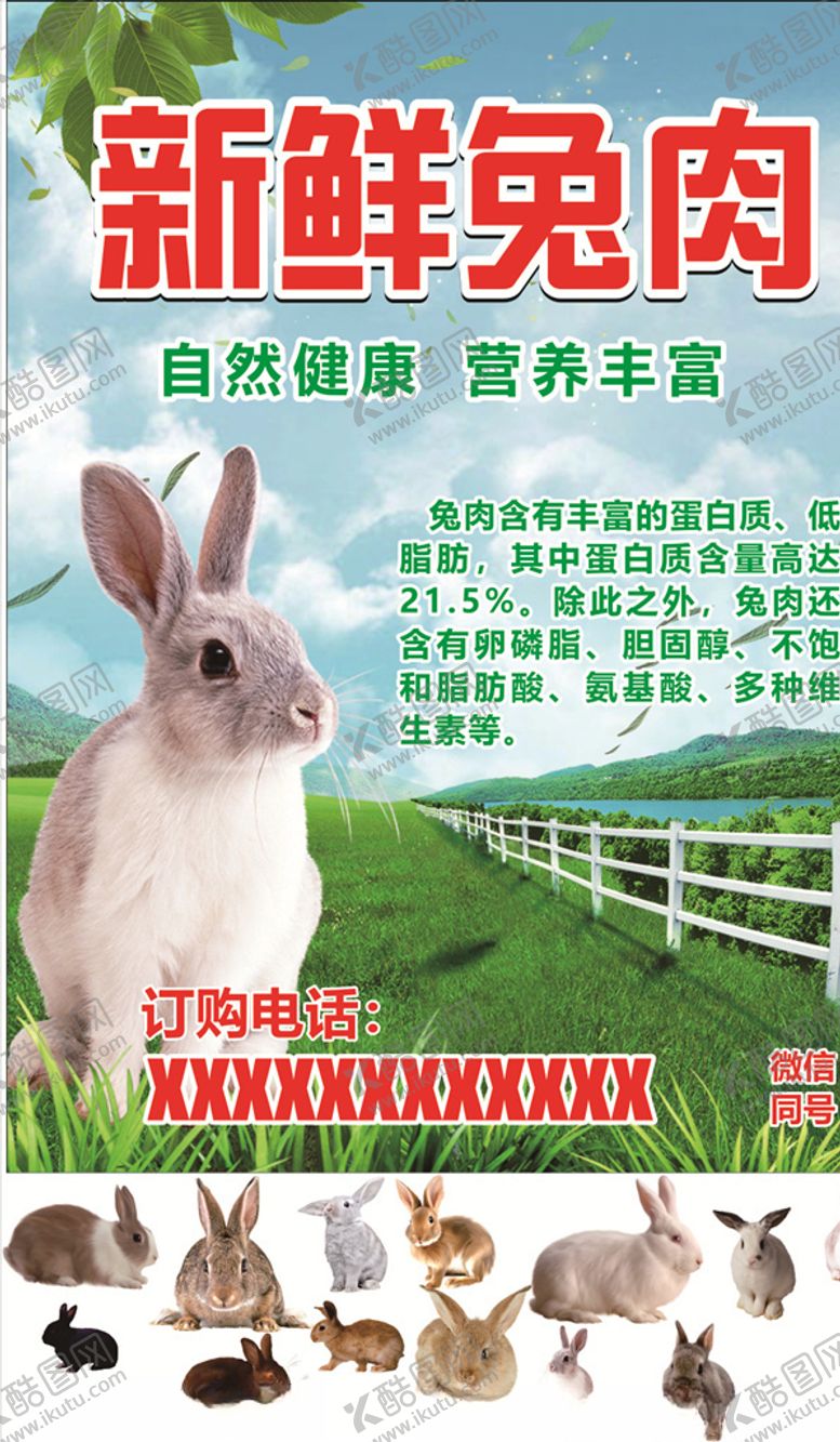编号：12205707071023184985【酷图网】源文件下载-新鲜兔肉