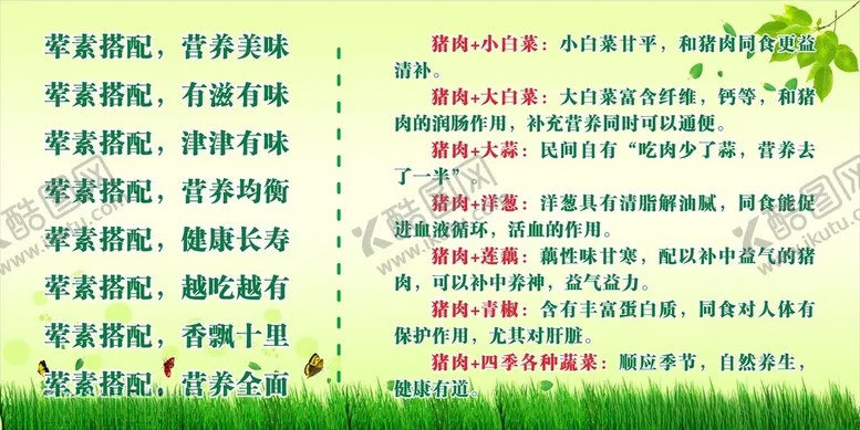 编号：72331002232329059665【酷图网】源文件下载-猪肉白菜
