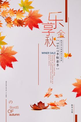 奢享金秋海报
