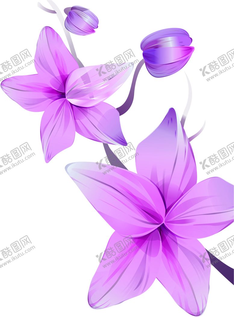 编号：48626905152258402287【酷图网】源文件下载-鲜花素材